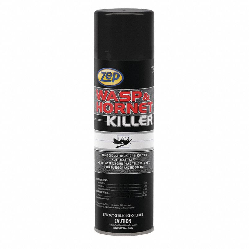 Wasp and Hornet Killer - Workplace Safety